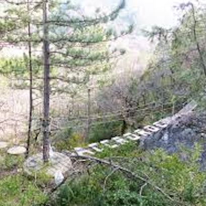 Photo d'un pont suspendu de l'accrobranche